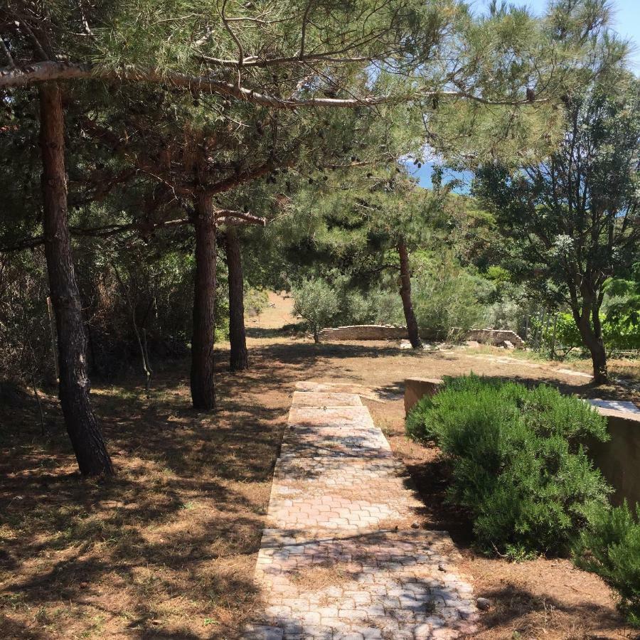 Platanitis Seaside Vila מראה חיצוני תמונה